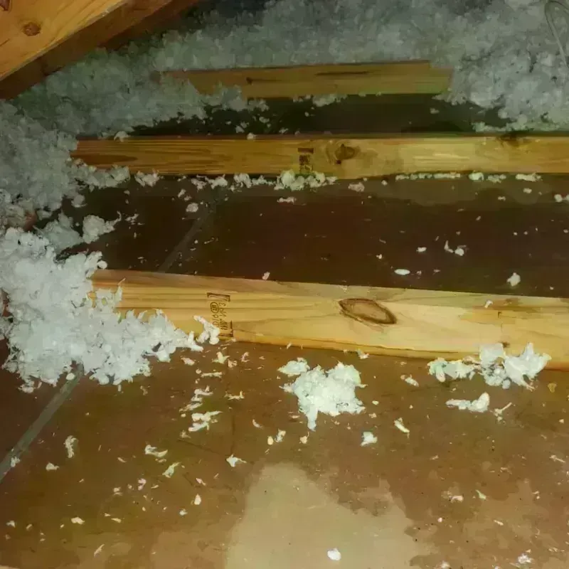 Attic Water Damage in Rheems, PA